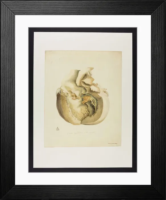 Framed Print : 13741394 Framed Print : 13741394