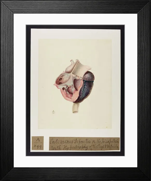 Framed Print : 13741397 Framed Print : 13741397