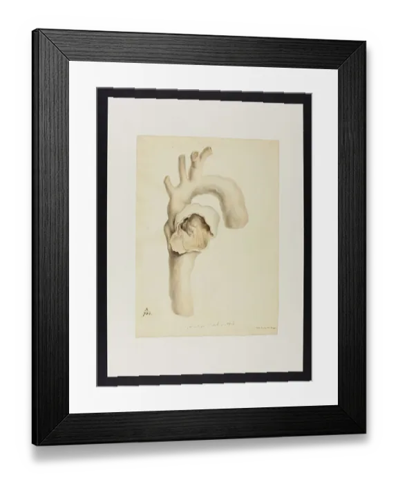 Framed Print : 13741404 Framed Print : 13741404