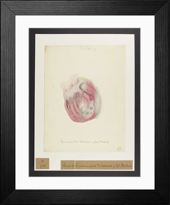 Framed Print : 13741411 Framed Print : 13741411