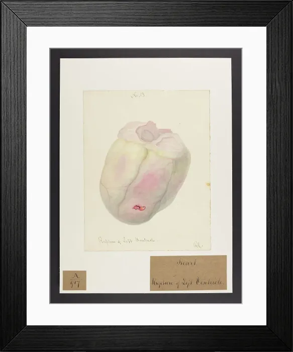 Framed Print : 13741412 Framed Print : 13741412