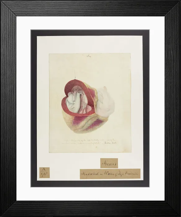 Framed Print : 13741413 Framed Print : 13741413