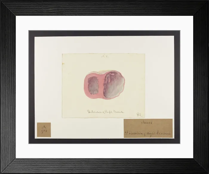 Framed Print : 13741410 Framed Print : 13741410