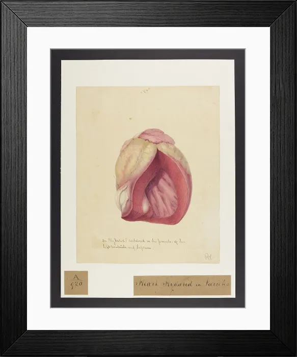 Framed Print : 13741415 Framed Print : 13741415