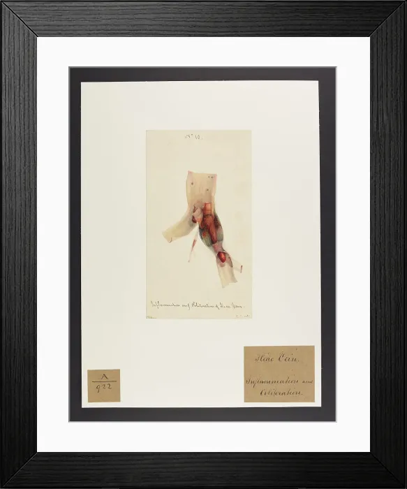 Framed Print : 13741417 Framed Print : 13741417