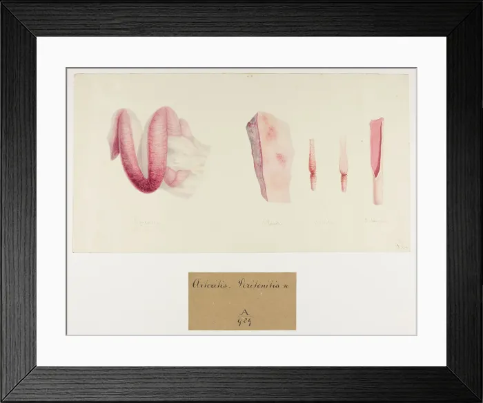 Framed Print : 13741419 Framed Print : 13741419