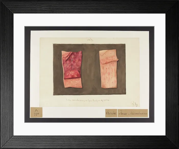 Framed Print : 13741420 Framed Print : 13741420