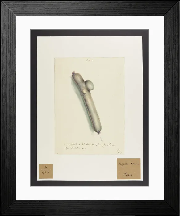 Framed Print : 13741418 Framed Print : 13741418