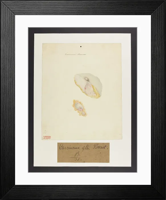 Framed Print : 13741431 Framed Print : 13741431