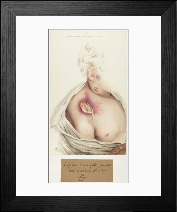 Framed Print : 13741437 Framed Print : 13741437