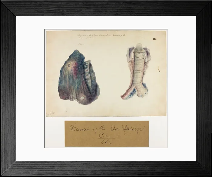 Framed Print : 13741452 Framed Print : 13741452