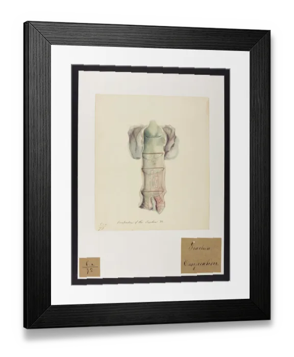 Framed Print : 13741459 Framed Print : 13741459