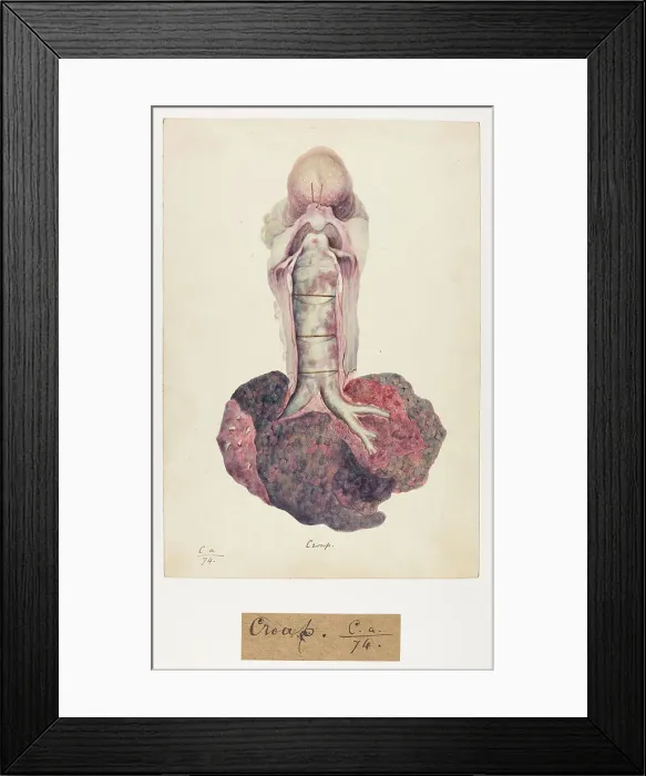 Framed Print : 13741460 Framed Print : 13741460