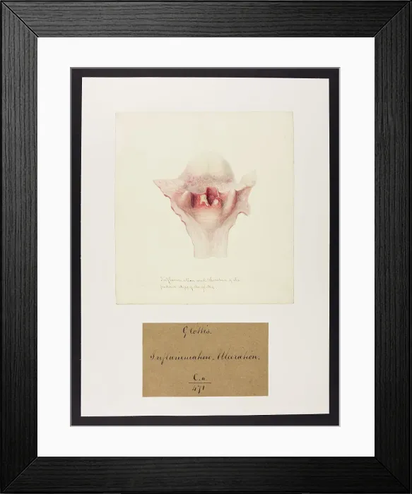 Framed Print : 13741467