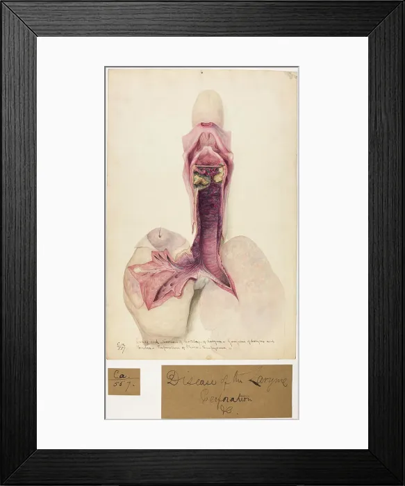Framed Print : 13741472 Framed Print : 13741472