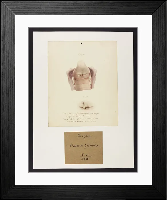 Framed Print : 13741475 Framed Print : 13741475