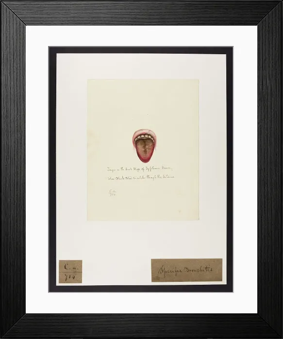 Framed Print : 13741477 Framed Print : 13741477