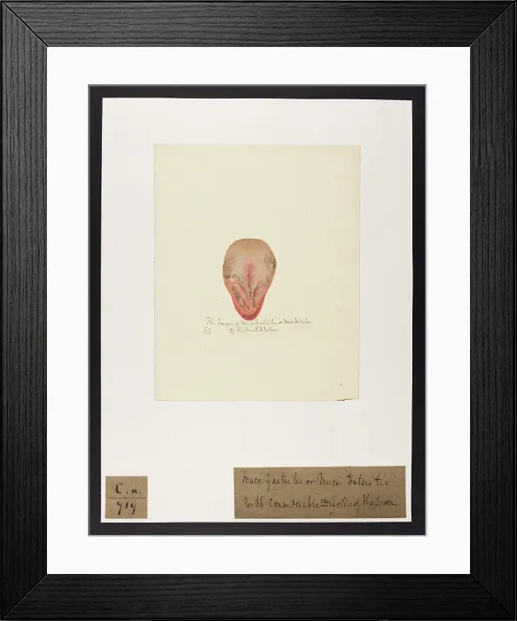 Framed Print : 13741482 Framed Print : 13741482