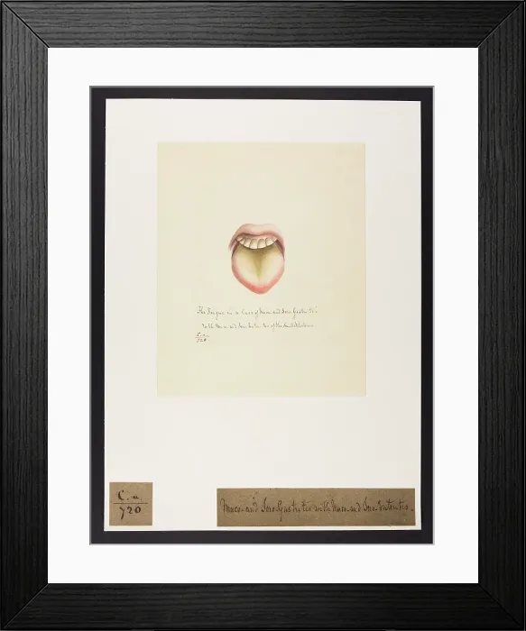 Framed Print : 13741483 Framed Print : 13741483