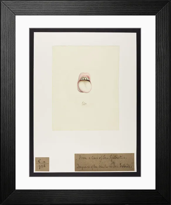 Framed Print : 13741489 Framed Print : 13741489
