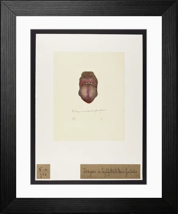 Framed Print : 13741484 Framed Print : 13741484
