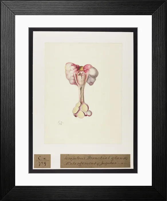 Framed Print : 13741492 Framed Print : 13741492