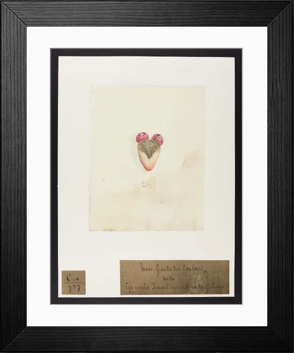 Framed Print : 13741490 Framed Print : 13741490
