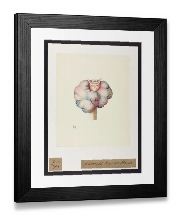 Framed Print : 13741497 Framed Print : 13741497