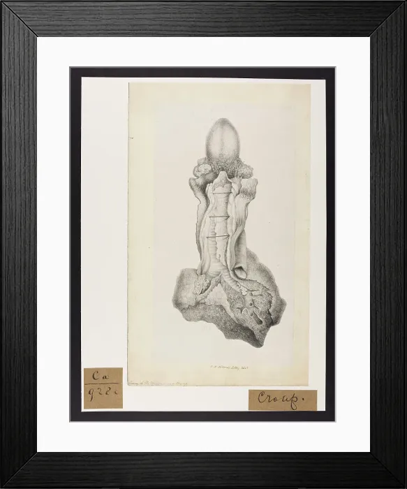 Framed Print : 13741500 Framed Print : 13741500