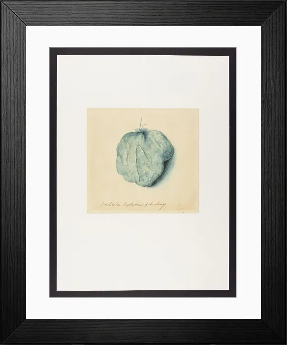 Framed Print : 13741505 Framed Print : 13741505