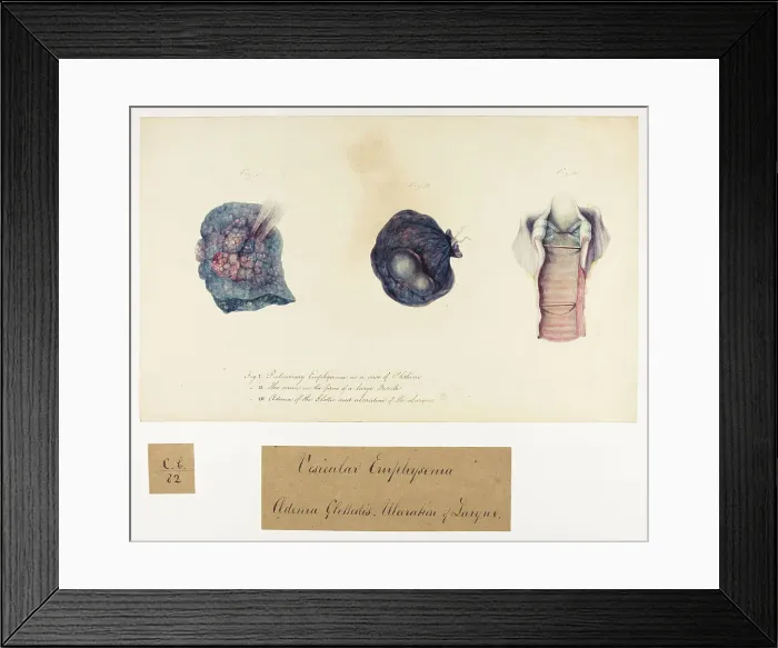 Framed Print : 13741506 Framed Print : 13741506