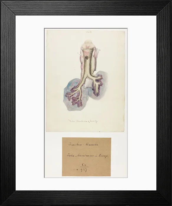 Framed Print : 13741499 Framed Print : 13741499