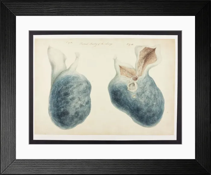 Framed Print : 13741508 Framed Print : 13741508