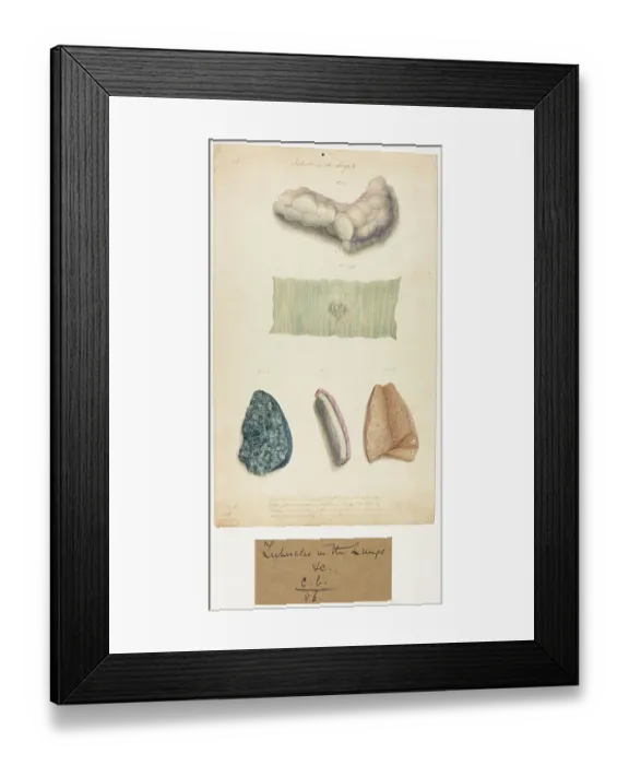 Framed Print : 13741510 Framed Print : 13741510