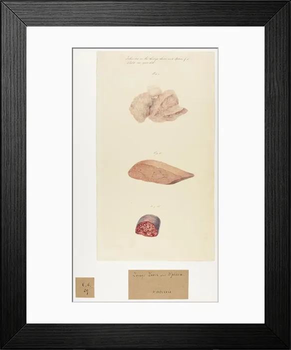 Framed Print : 13741512 Framed Print : 13741512