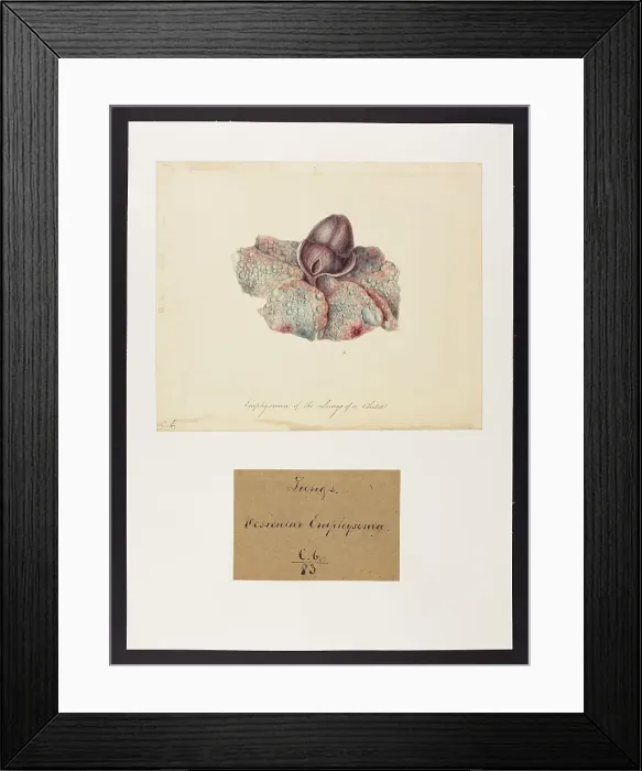 Framed Print : 13741507 Framed Print : 13741507