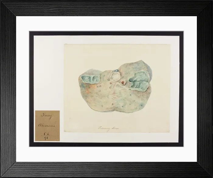 Framed Print : 13741515 Framed Print : 13741515