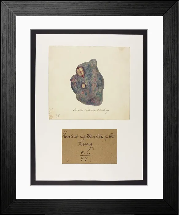 Framed Print : 13741518 Framed Print : 13741518