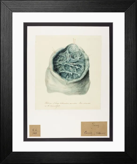 Framed Print : 13741524 Framed Print : 13741524