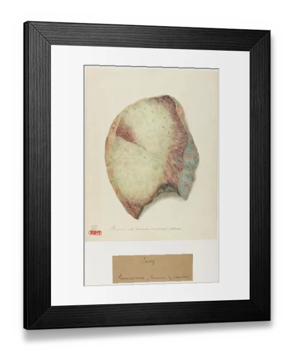 Framed Print : 13741525 Framed Print : 13741525