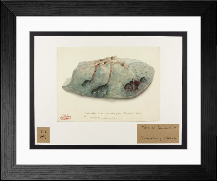 Framed Print : 13741527
