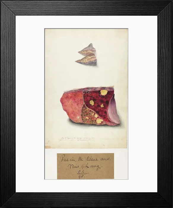 Framed Print : 13741516 Framed Print : 13741516