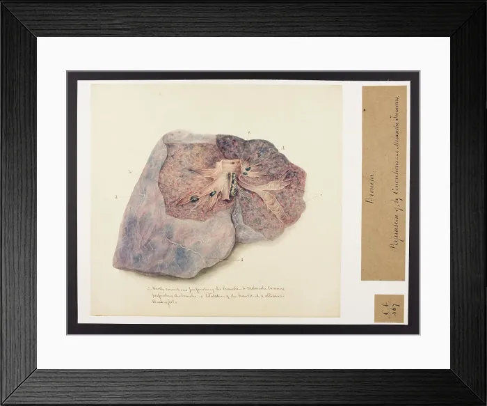 Framed Print : 13741532 Framed Print : 13741532