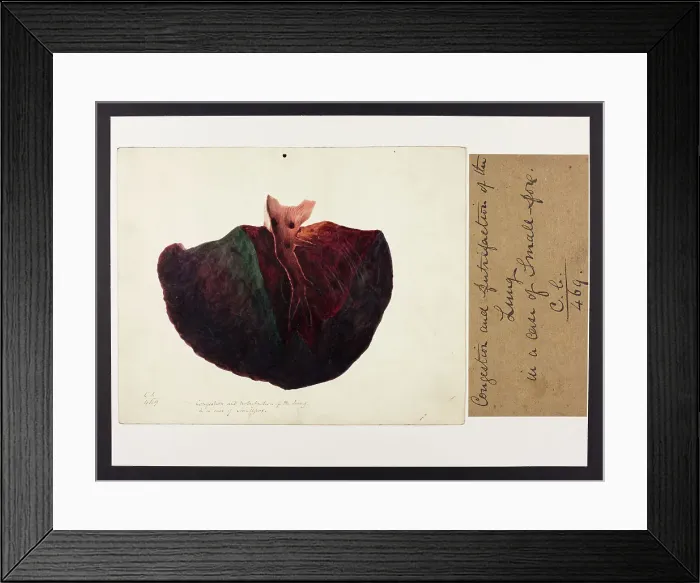 Framed Print : 13741533 Framed Print : 13741533