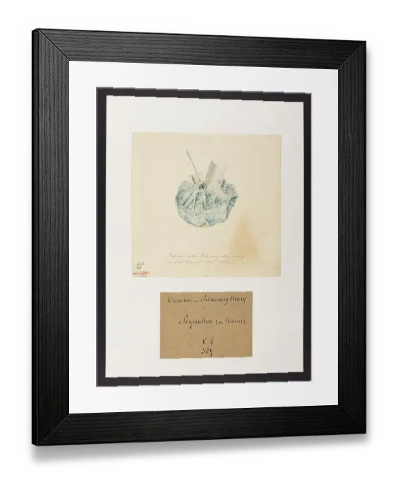 Framed Print : 13741530