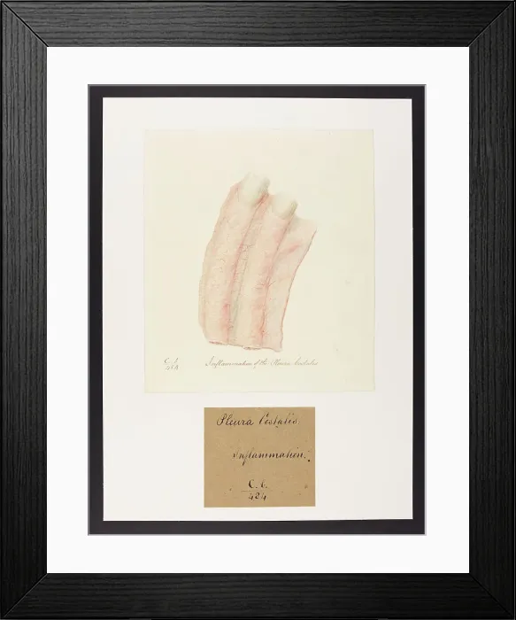 Framed Print : 13741535 Framed Print : 13741535