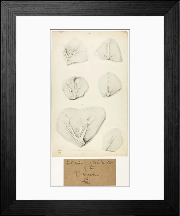 Framed Print : 13741539 Framed Print : 13741539