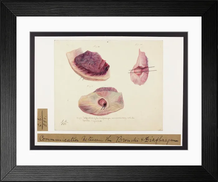 Framed Print : 13741541 Framed Print : 13741541