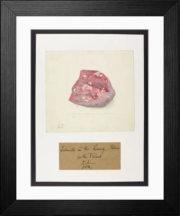 Framed Print : 13741542 Framed Print : 13741542