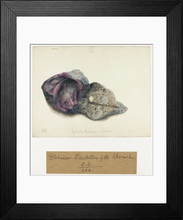 Framed Print : 13741544 Framed Print : 13741544
